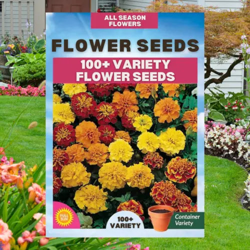 Elegant Climbing Rose Flower Seeds (Free Plant Growth Supplement)