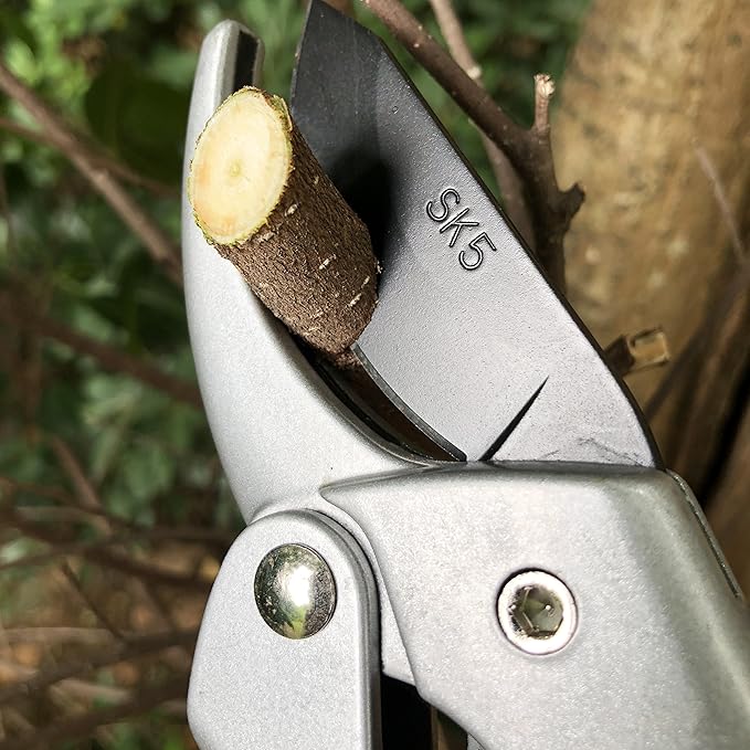 Heavy-Duty Pruning Shears (Japan Imported)