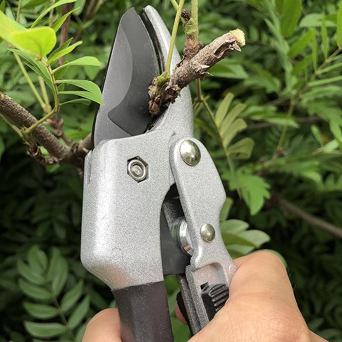 Heavy-Duty Pruning Shears (Japan Imported)