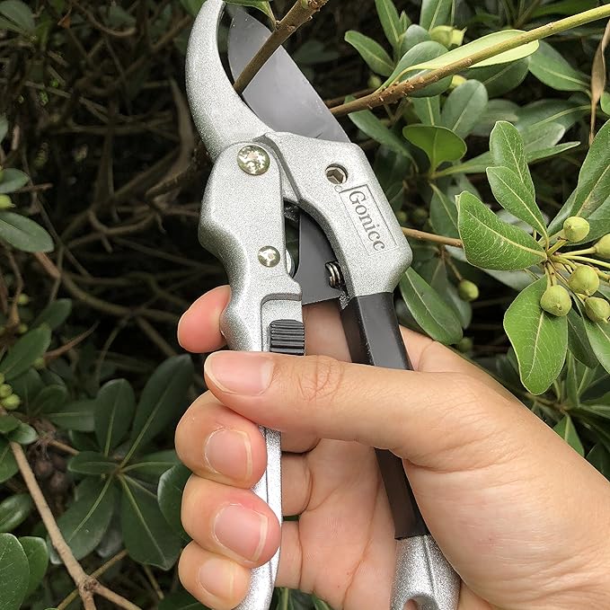 Heavy-Duty Pruning Shears (Japan Imported)